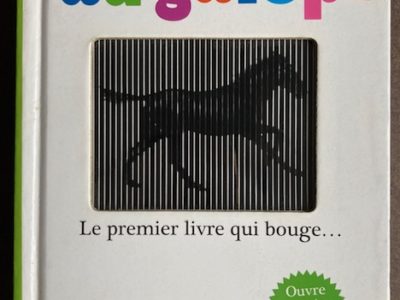 Au galop ! Mon premier livre cinémagique de Rufus Butler Seder