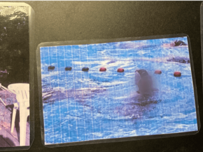 Sériation d'histoires en images