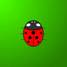 Touchez la coccinnelle
